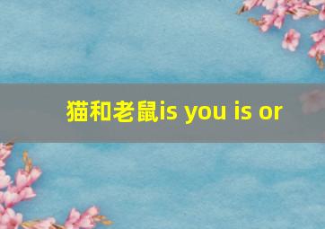 猫和老鼠is you is or